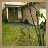 Landscaping Before Image