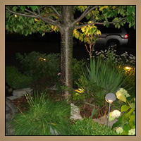 Landscaping With Light Night Thumbnail