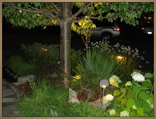 Custom Landscaping With Lighting Night Photo